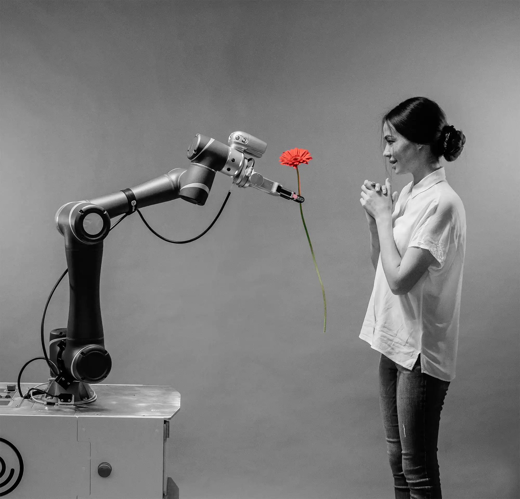 about us robotics.webp